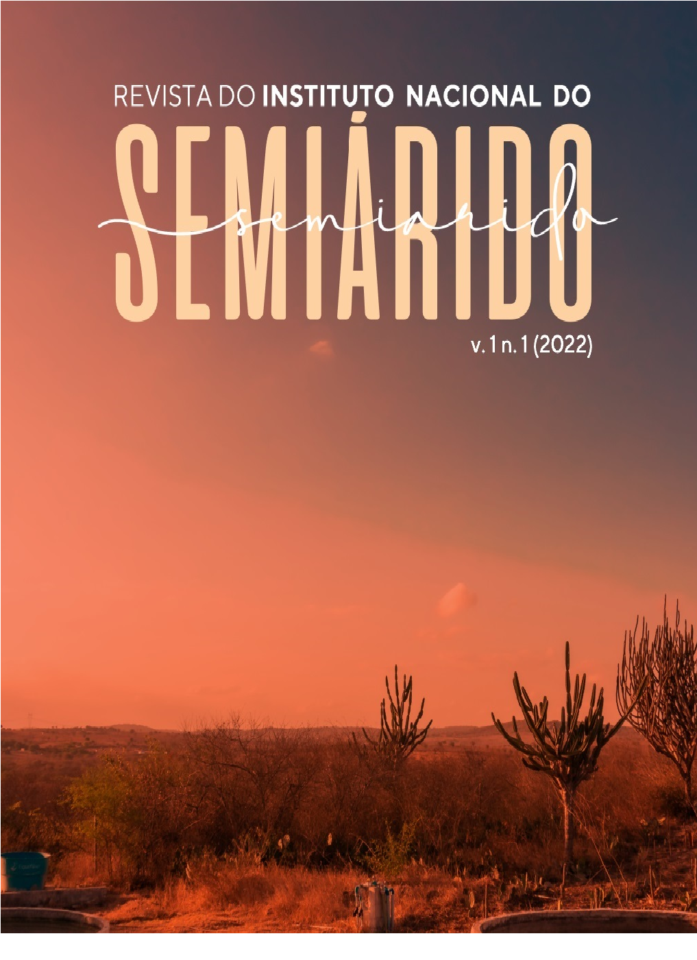 					View Vol. 1 No. 1 (2022):  REVINSA - Revista do Instituto Nacional do Semiárido
				
